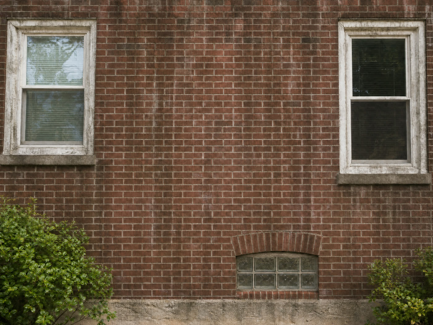 Brick wall before pressure washing