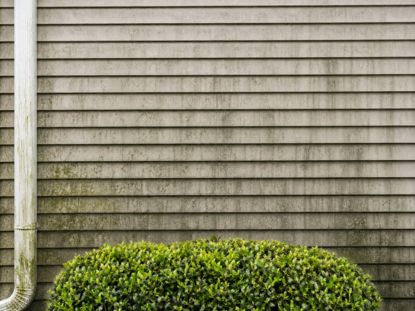 Vinyl siding before pressure washing